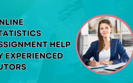 Online Statistics Assignment Help by Experienced Tutors