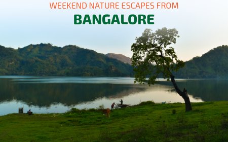 Weekend Nature Escapes from Bangalore: Hills, Forests, and Lakes