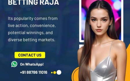 Exploring the Welcome Bonuses and Offers on Betting Raja