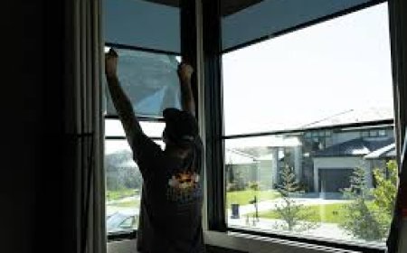 The Ultimate Guide to Window Film Installation for Homes