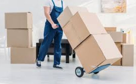 Relocate with Confidence – How Super Budget Movers Takes the Stress Out of Moving
