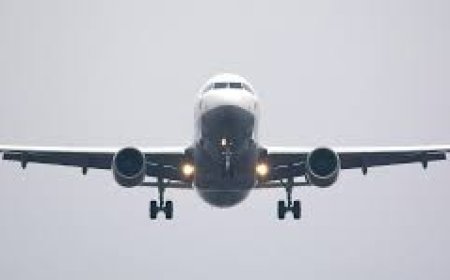 Clarifying Pet Travel Policies Using the American Airlines Phone Number Cleveland