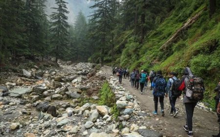 Sikkim Wildlife Tourism: Best Wildlife Sanctuaries