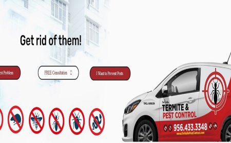 Snake Control Services: Keeping Your Property Safe from Unwanted Slithering Guests