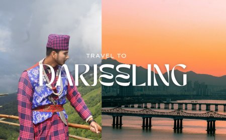 Darjeeling Tour Packages Under 10000: Perfect for Budget Travelers