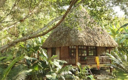 Tribes of Andaman and Nicobar Island