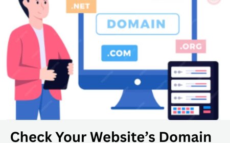 Free Tools to Check Your Website’s Domain and Page Authority
