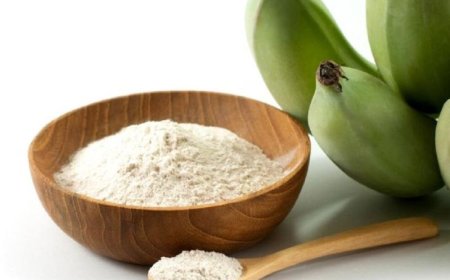 Roadmap for Setting up a Banana Powder Manufacturing Plant Project Report