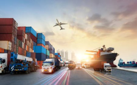Navigating the Waves of Global Trade: A Deep Dive into Ocean Freight with Masagaia