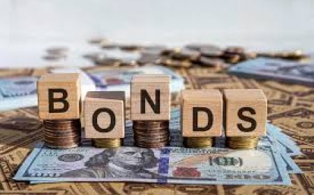 Understanding Bond Coupon Rates: A Beginner's Guide