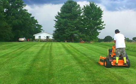 Grass Cutting Forest Park GA The Ultimate Guide to Lawn Perfection in Georgia