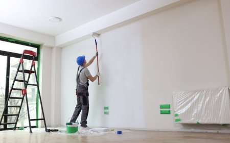 Painter Spanish Springs NV Trusted Professionals for Quality Home Painting