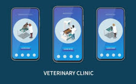 The Rise of Veterinary Telemedicine App Development in Modern Pet Healthcare