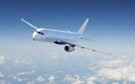 Cheapest Delta Business Class Deals to Save More!