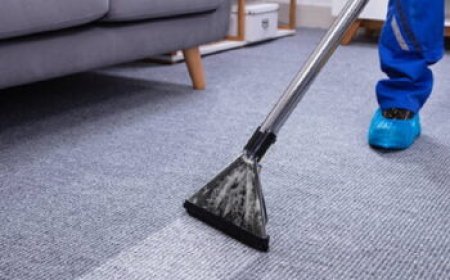 Why Professional Carpet Cleaning Is Essential for a Healthy Home