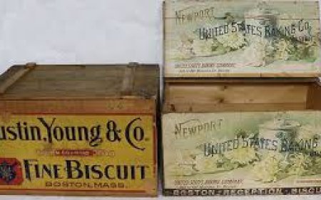 Box Company Austin: Scalable, Custom Packaging Solutions for a Growing City