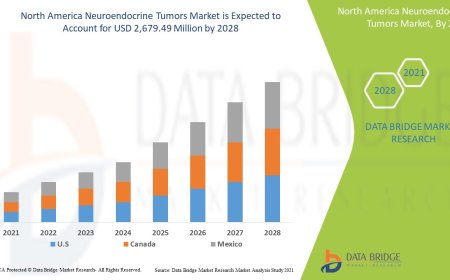 Advancements in Diagnostics Propel North America Neuroendocrine Tumors Market