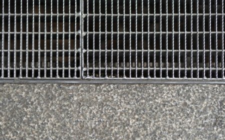 Wiremesh Cage Pallets: The Ultimate Solution for Safe and Organized Storage Forca Storage Equipments