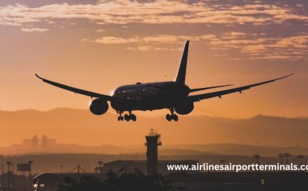 Complete Guide to Atlanta Airport Terminal for Southwest Airlines Travelers