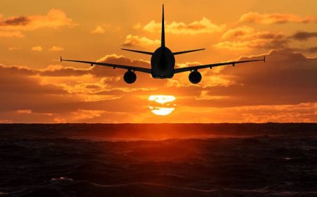 Everything You Need to Know About the Frontier Airlines Raleigh Office Address