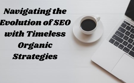 Navigating the Evolution of SEO with Timeless Organic Strategies