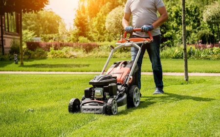 Affordable Grass Cutting Forest Park GA Solutions