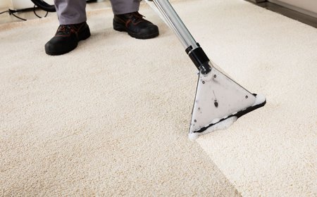 Is Steam Cleaning or Dry Cleaning Better for Carpets?