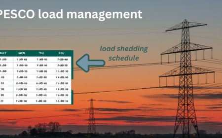 How Does PESCO Load Management Work During Summer Heat?