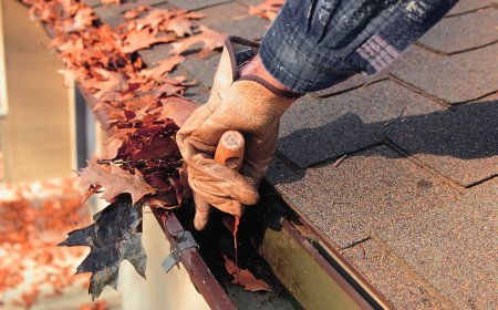 Top-Rated Gutter Cleaning in Medford, OR | Affordable & Trusted Local Experts