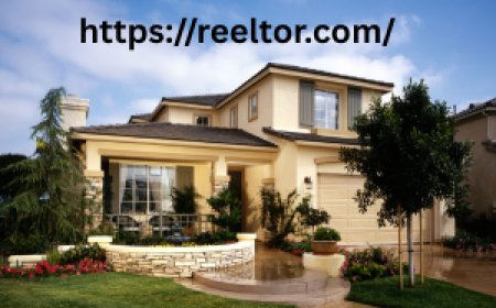 Reeltor.com: Your Trusted Partner in Property Buying