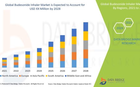 Budesonide Inhaler Market: Key Trends and Future Growth Forecast to 2028