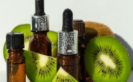 Establishing a Profitable Kiwi Seed Oil Processing Plant Setup 2025, Project Cost Details