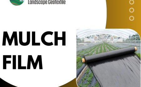  Mulch Film: The Strategic Importance of Advanced Crop Development