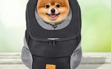 Exploring the World with Your Pet: Why a Dog Travel Suitcase is a Must-Have