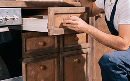 Breaking into the Industry: How to Find Wildlife Removal Technician Jobs in Houston