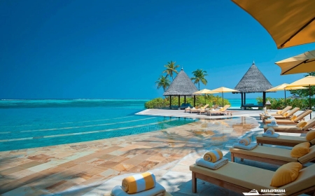 When Is the Best Time to Book Cheap Travel Deals and Cheap Maldives Holidays?