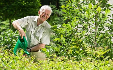 How Seniors Can Navigate Life After Retirement