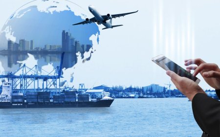 How Can Service Exporters Benefit from an EPCG License?