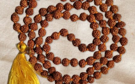 The Power of Rudraksha: How This Seed Can Transform Your Life