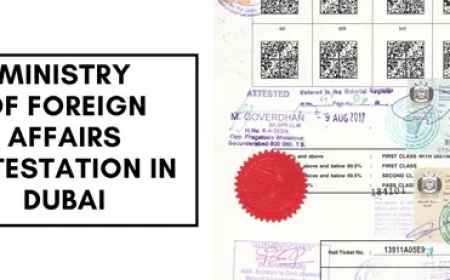 Complete Guide to the Ministry of Foreign Affairs Dubai Attestation Process