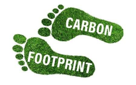 Carbon Footprint Reduction: Simple Steps for Businesses