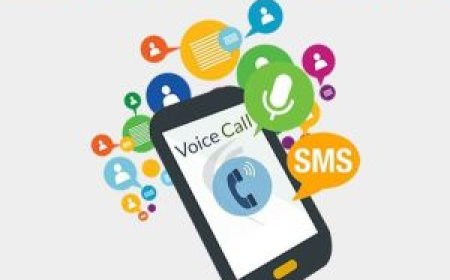 Step-by-Step Guide to Using Bulk Voice Call Services