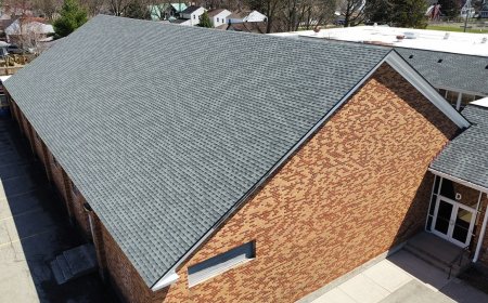 Choosing a Local Roofer in Michigan: Where to Find Reliable Roofing