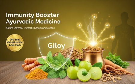 Immunity Booster Ayurvedic Medicine – Sanjivananusandhan’s Natural Shield for Modern Lifestyles