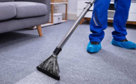 Carpet Cleaning Services: Refresh Your Home with Deep and Professional Care