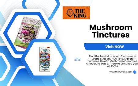 Mushroom Tinctures in Miami FL – Explore Pure Liquid Mushrooms at The 420 King