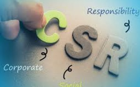 Building Impact with Expertise: Inside India’s Top CSR Consultancy Services