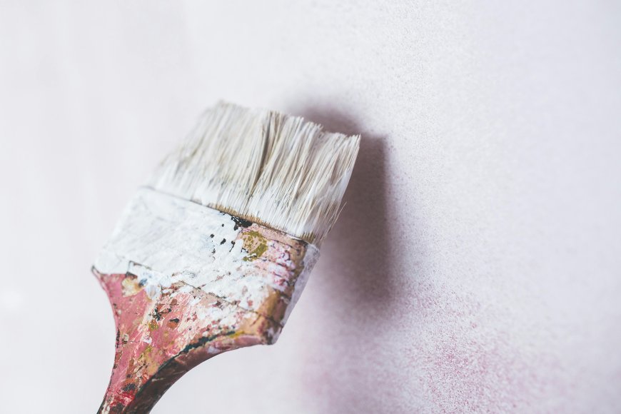 Painters in San Antonio Texas Interior and Exterior Painting Guide