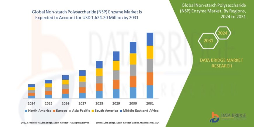 Non-starch Polysaccharide (NSP) Enzyme Market: Size, Share, and Future Growth