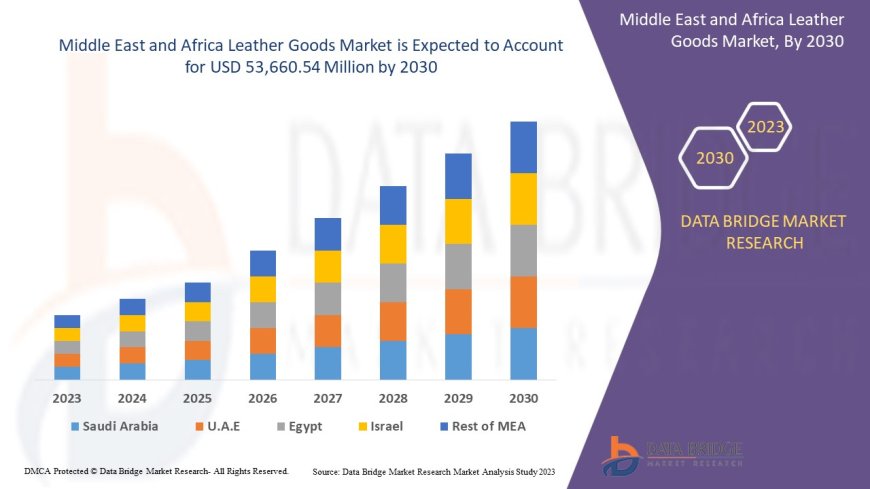 Middle East and Africa Leather Goods Market Trends, Challenges, and Forecast to 2030